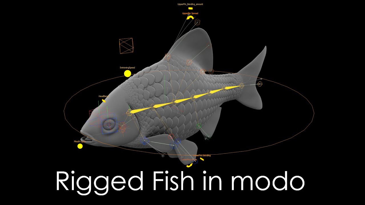 Fish 3d model Rigged in modo