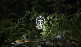 Taiao for Cinema4D スニークピーク
